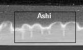 ashi